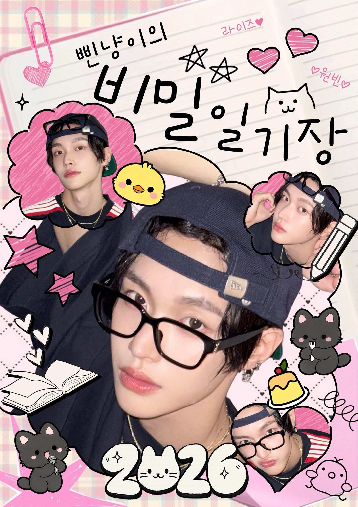 삔냥이의 비밀일기장 poster