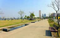 Jamwon Hangang Park