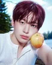 Jungmo (정모)