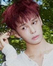 Serim (세림)