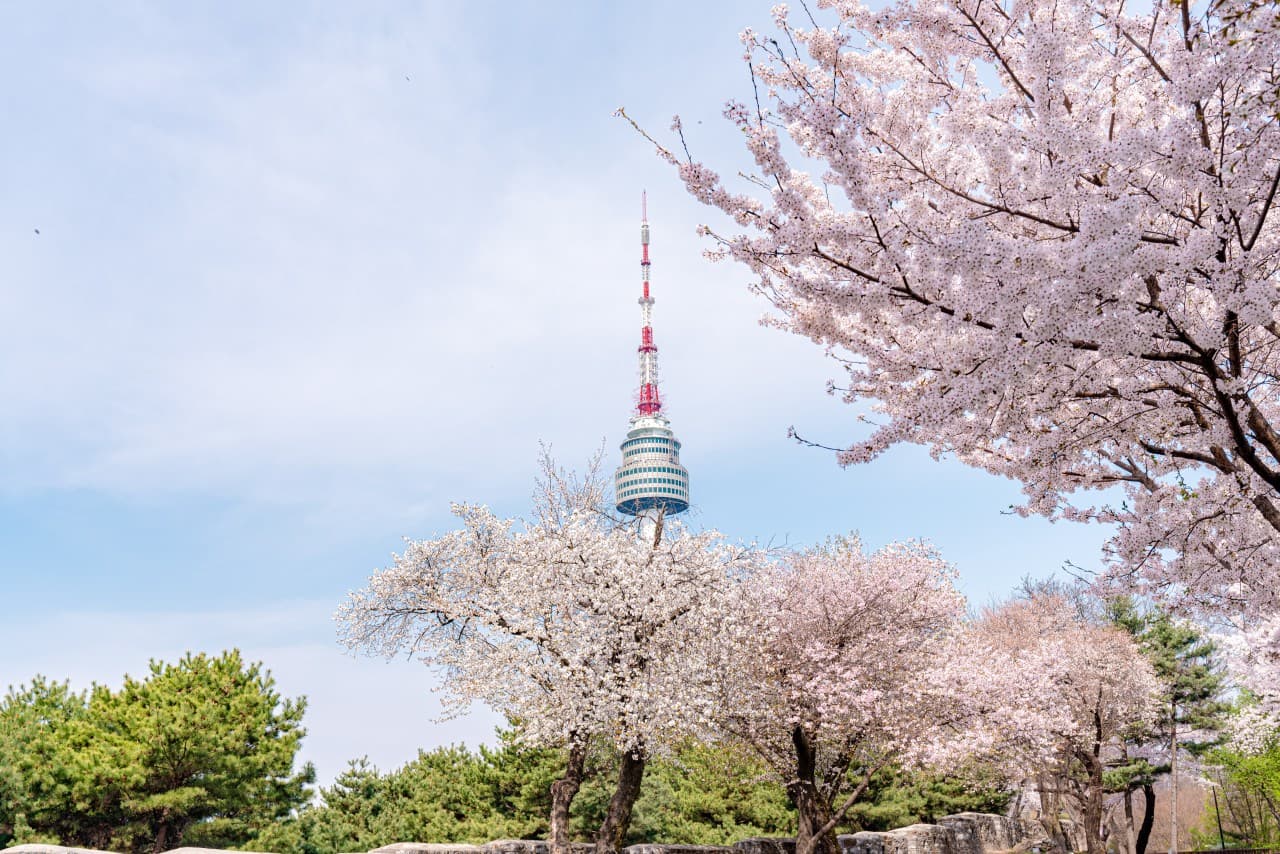 N서울타워