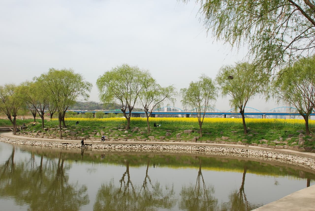 Banpo Hangang Park