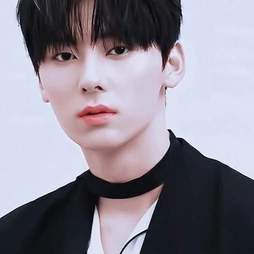 Hwang Minhyun (황민현)