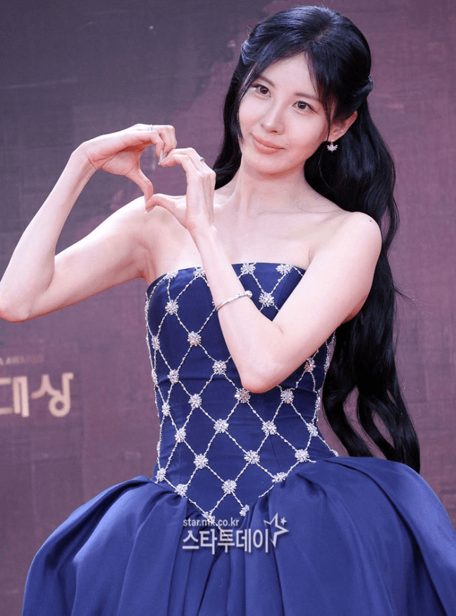 소녀시대 서현, 생일 맞아 유기동물보호소에 화식·간식 5000개 기부