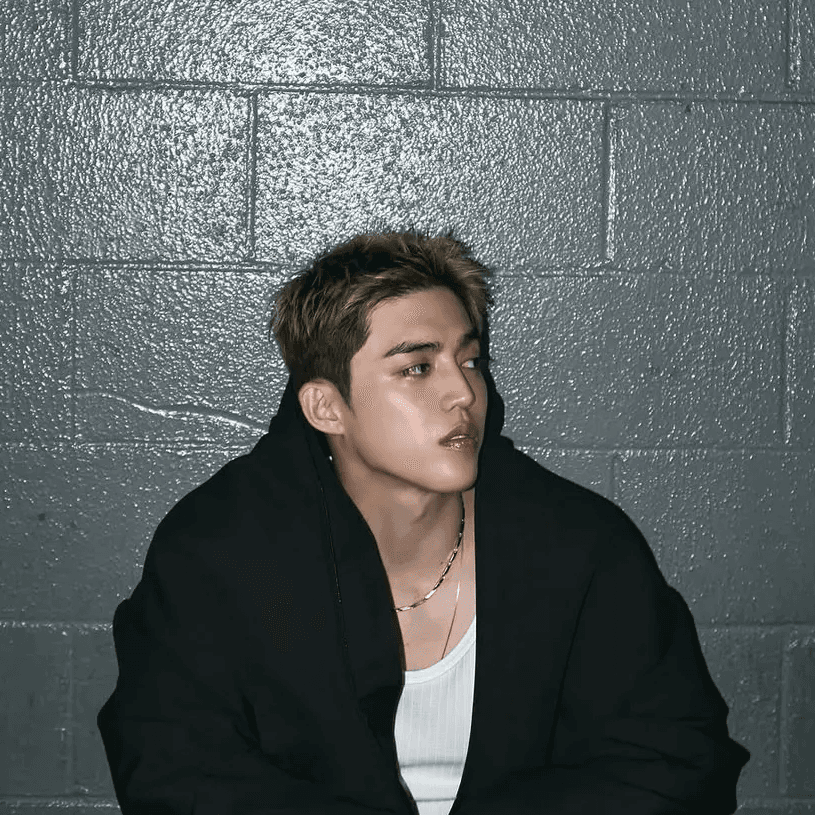 S.Coups (에스쿱스)
