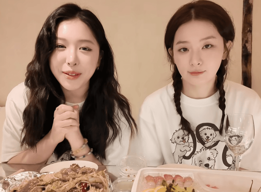 Red Velvet 슬기 사촌 유튜버 Sukyzin, 갑작스러운 사고로 별이 되다