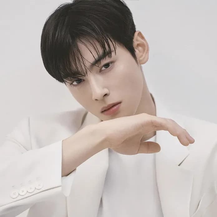 Cha Eunwoo (차은우)