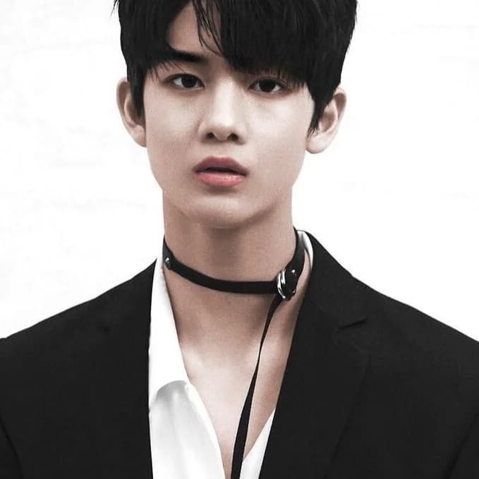 Bae Jinyoung (배진영)