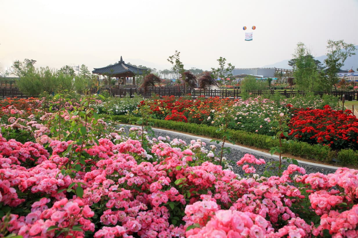 Gokseong Seomjin train village