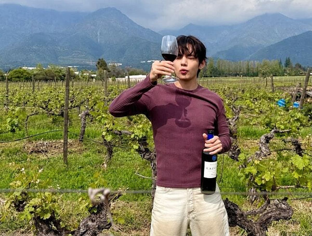 Wine in BTS V's Chile travel photos sells out at home and abroad within 2 hours of posting — some retailers say restocking will take 2 months