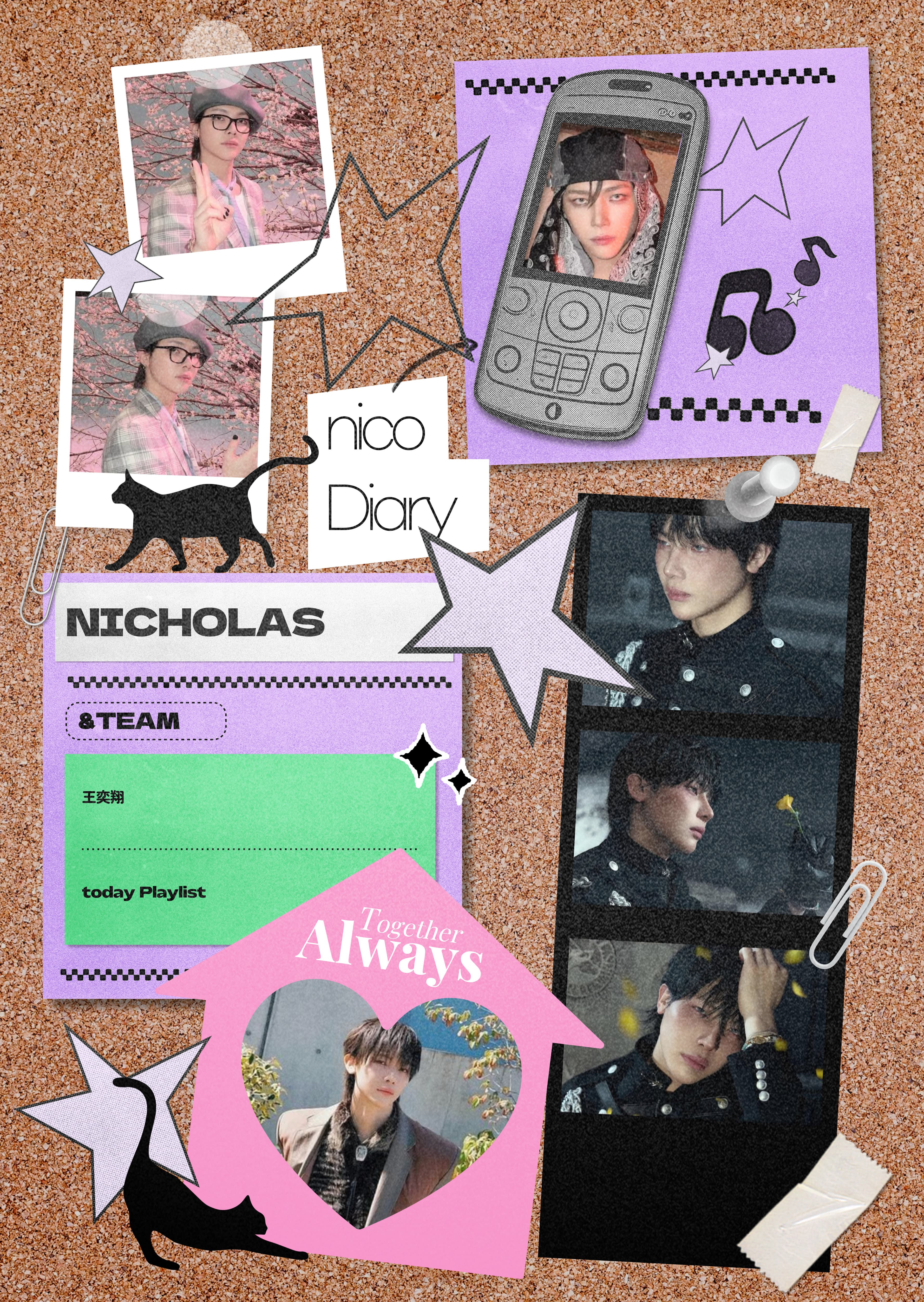 NICO DIARY poster