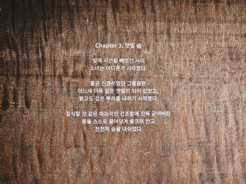 The Seoul Lytium
