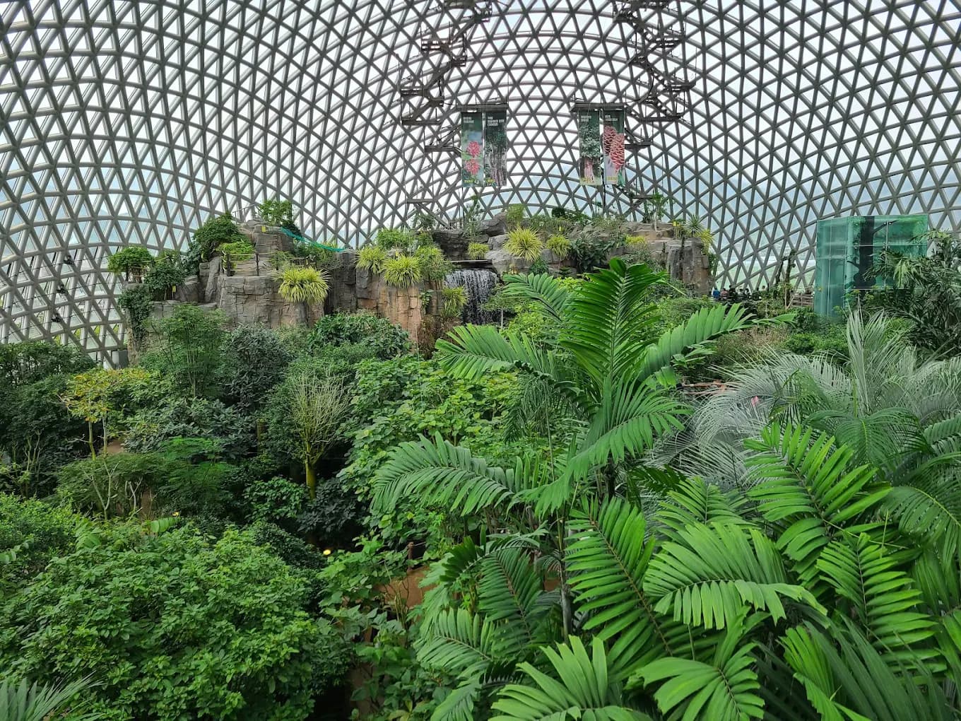 Geoje Botanical Garden