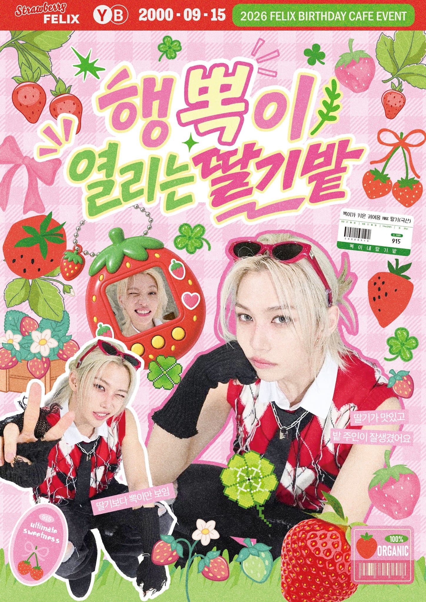행뽁이 열리는 딸기밭 poster