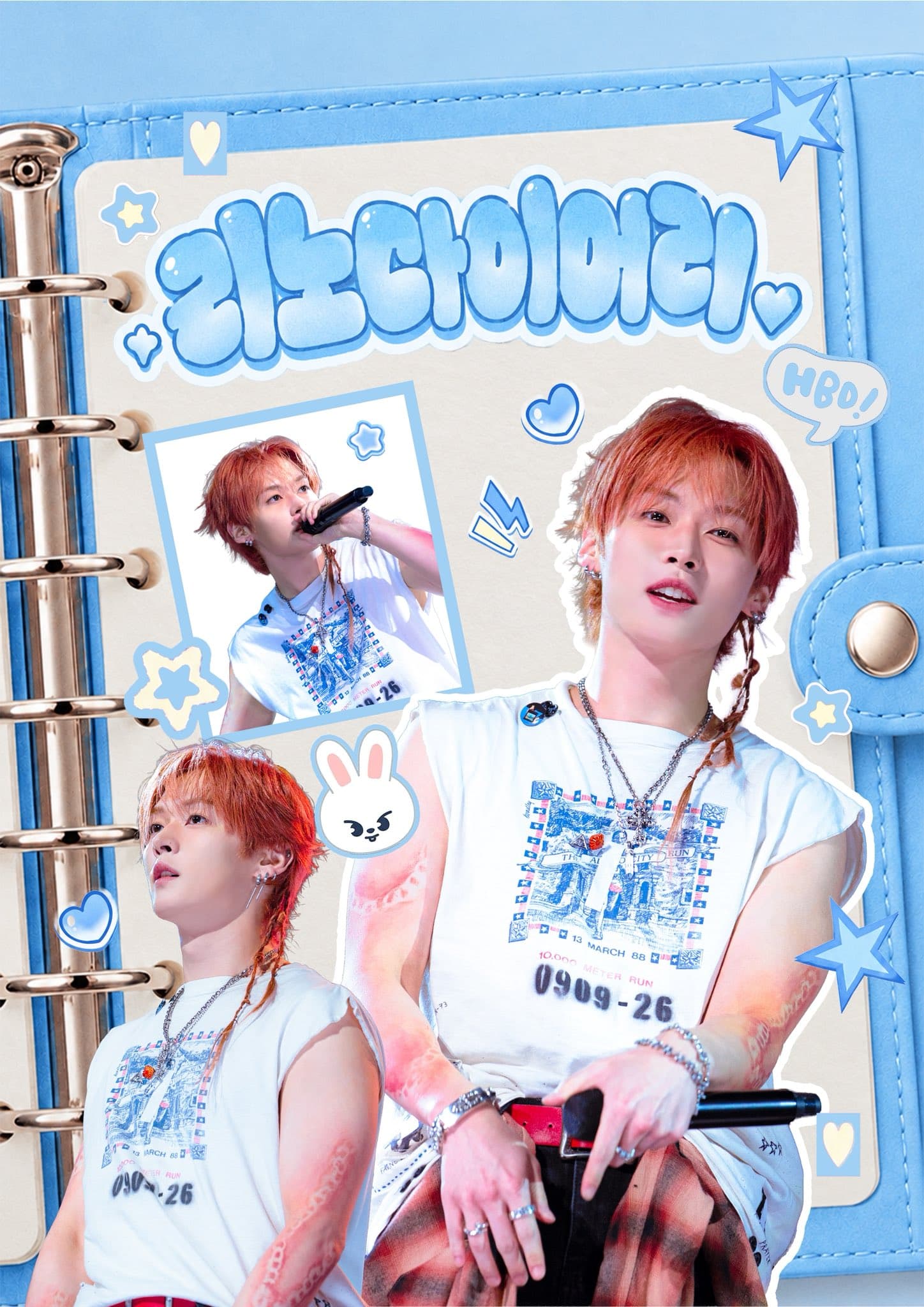 리노 다이어리 poster