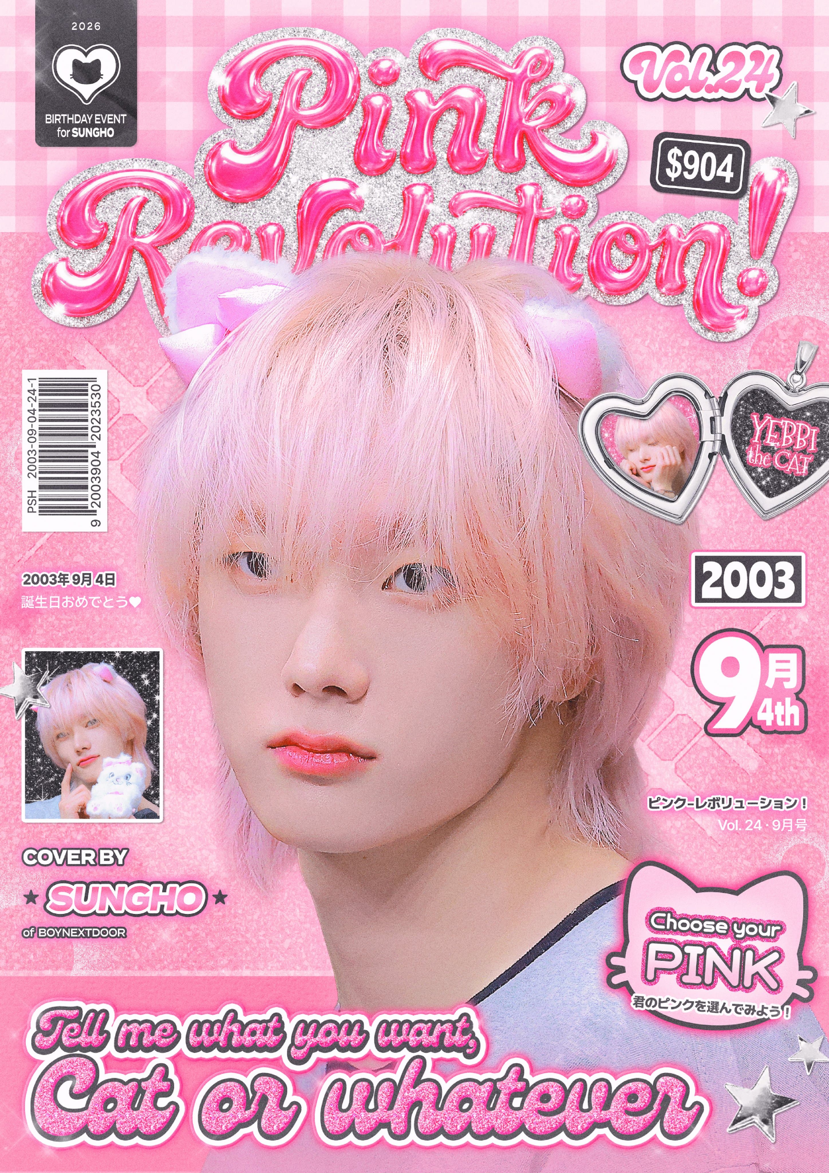 Pink Revolution ! poster