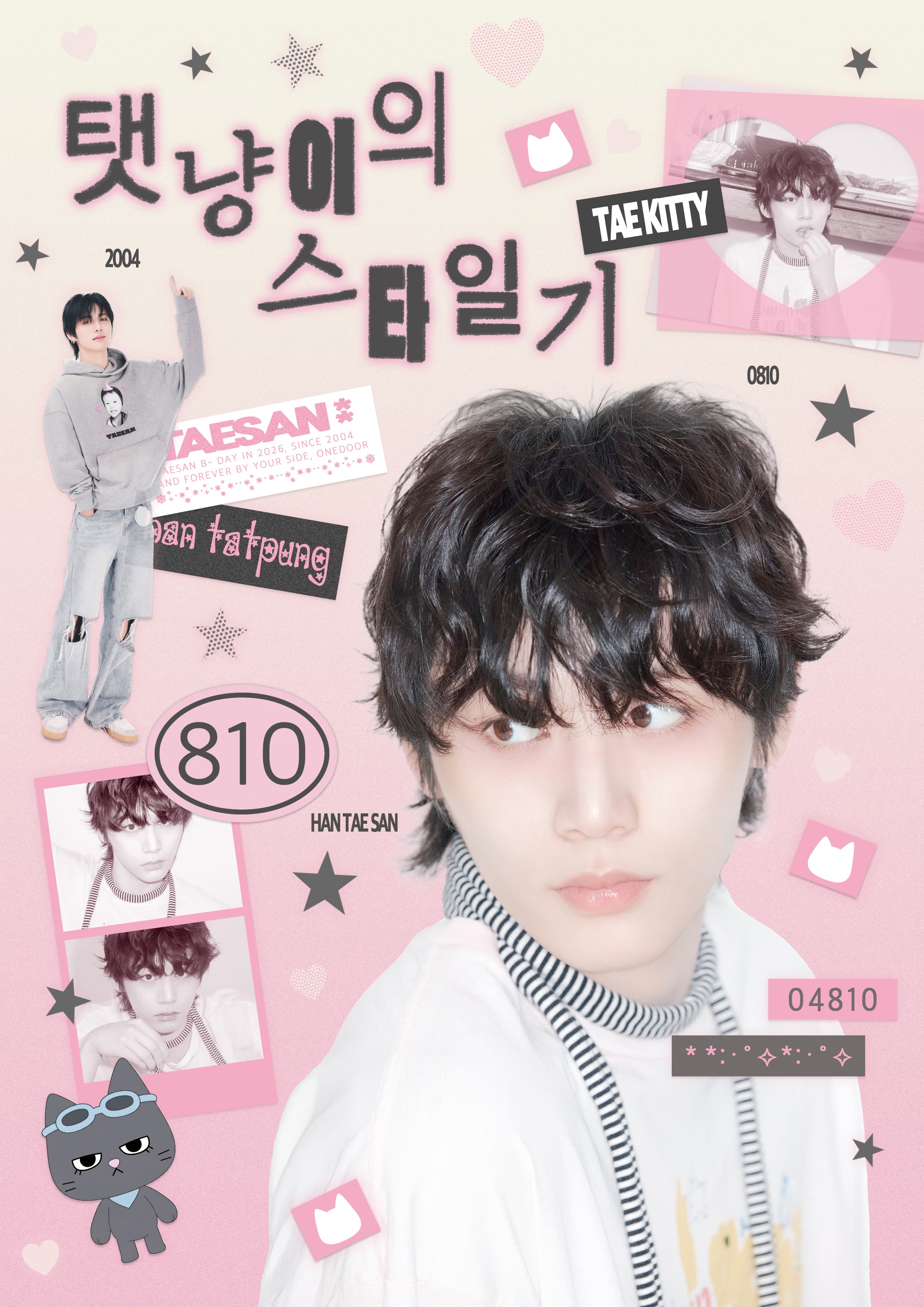 탯냥이의 스타일기  poster