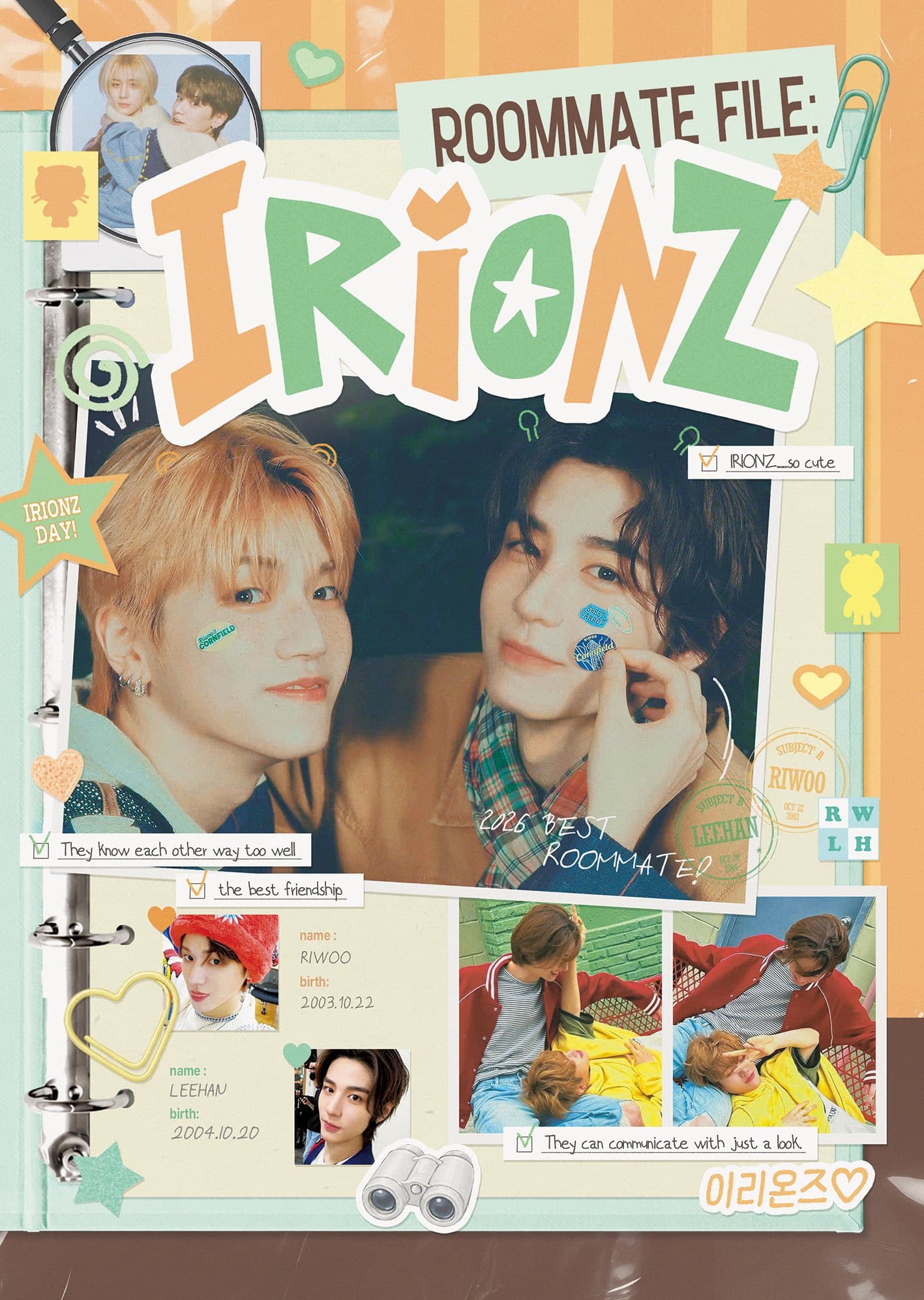 ROOMMATE FILE_IRIONZ poster