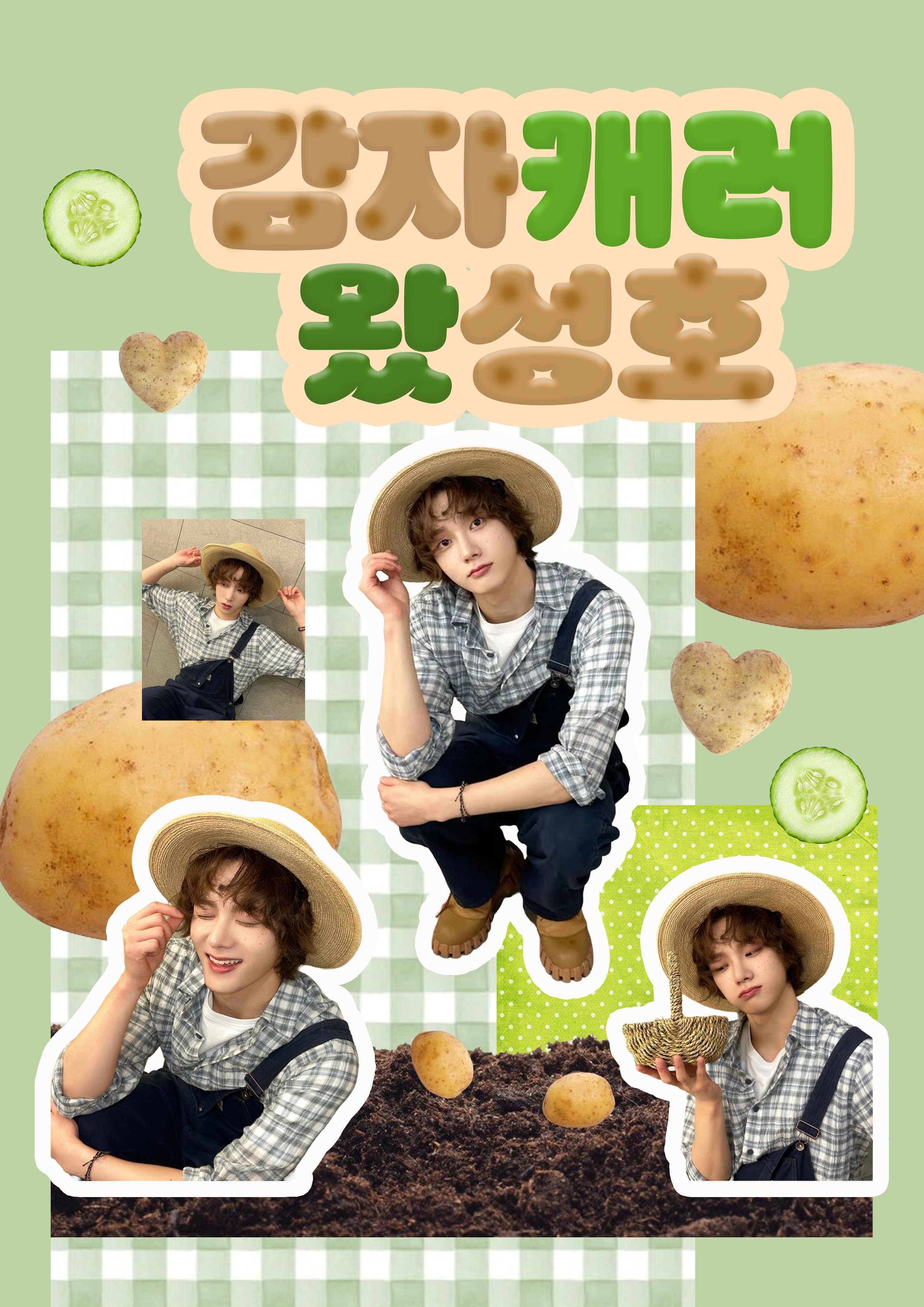 감자캐러 왔성호 poster