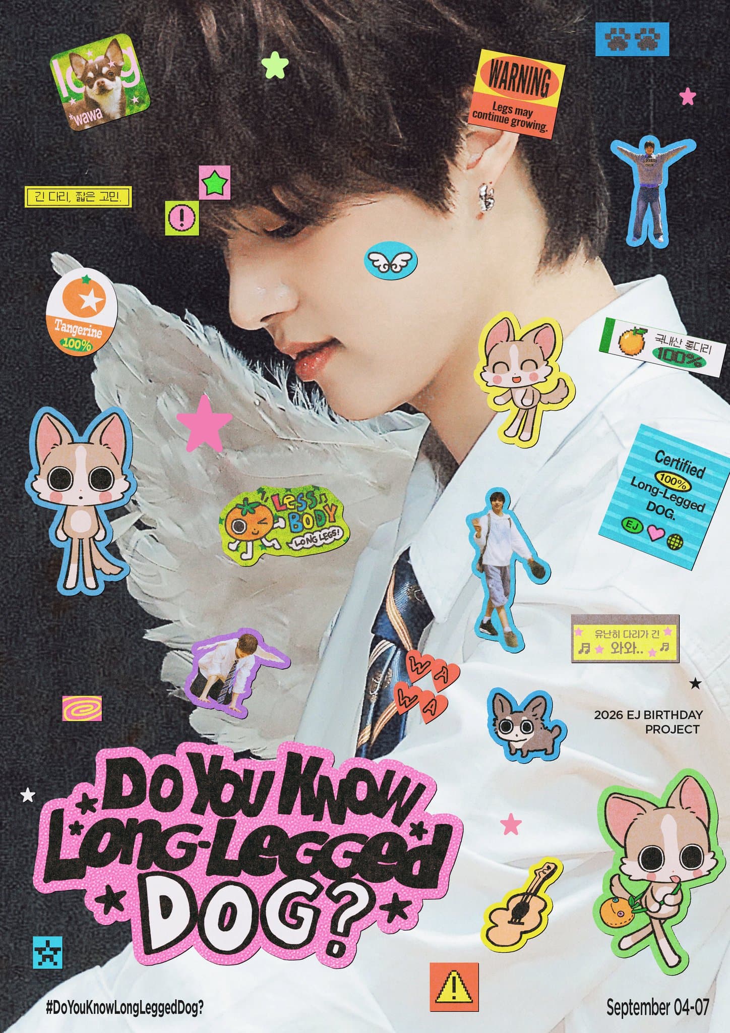 Do You Know Long-Legged DOG? poster