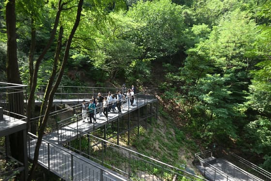 Namsan Jarak Forest Path Section 2