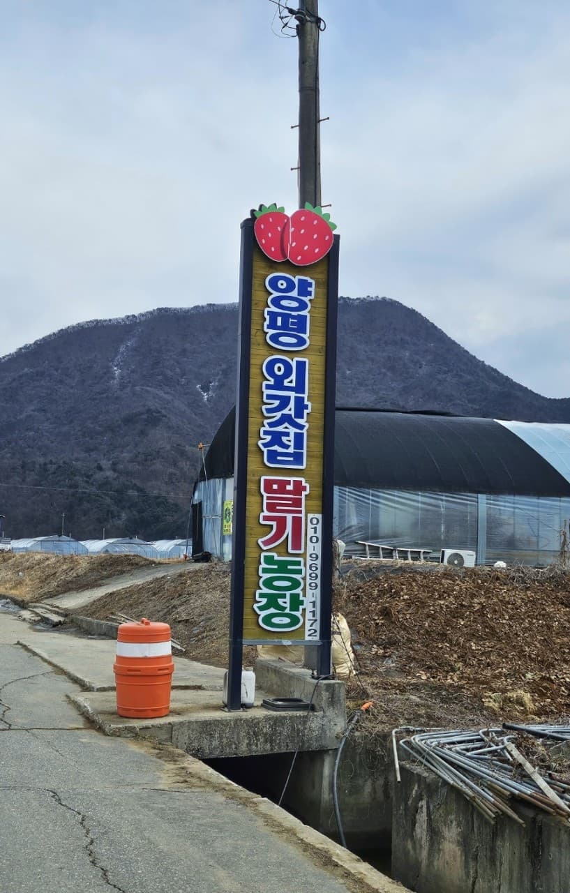 Yangpyeong Oegotjip Strawberry Farm