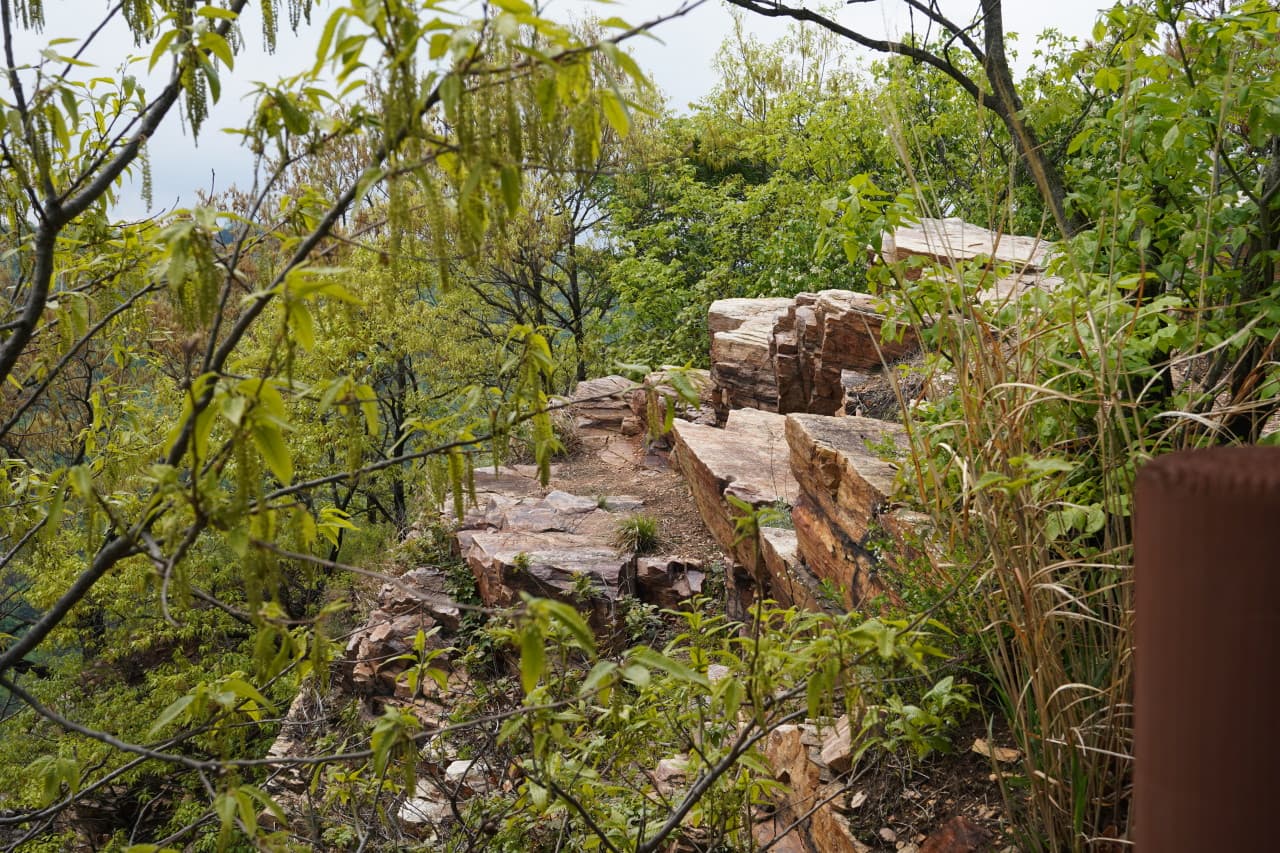 Wollong Citizen Park