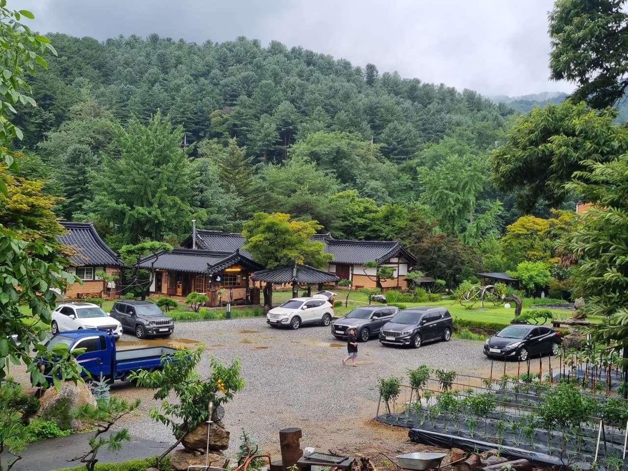 Suanchae