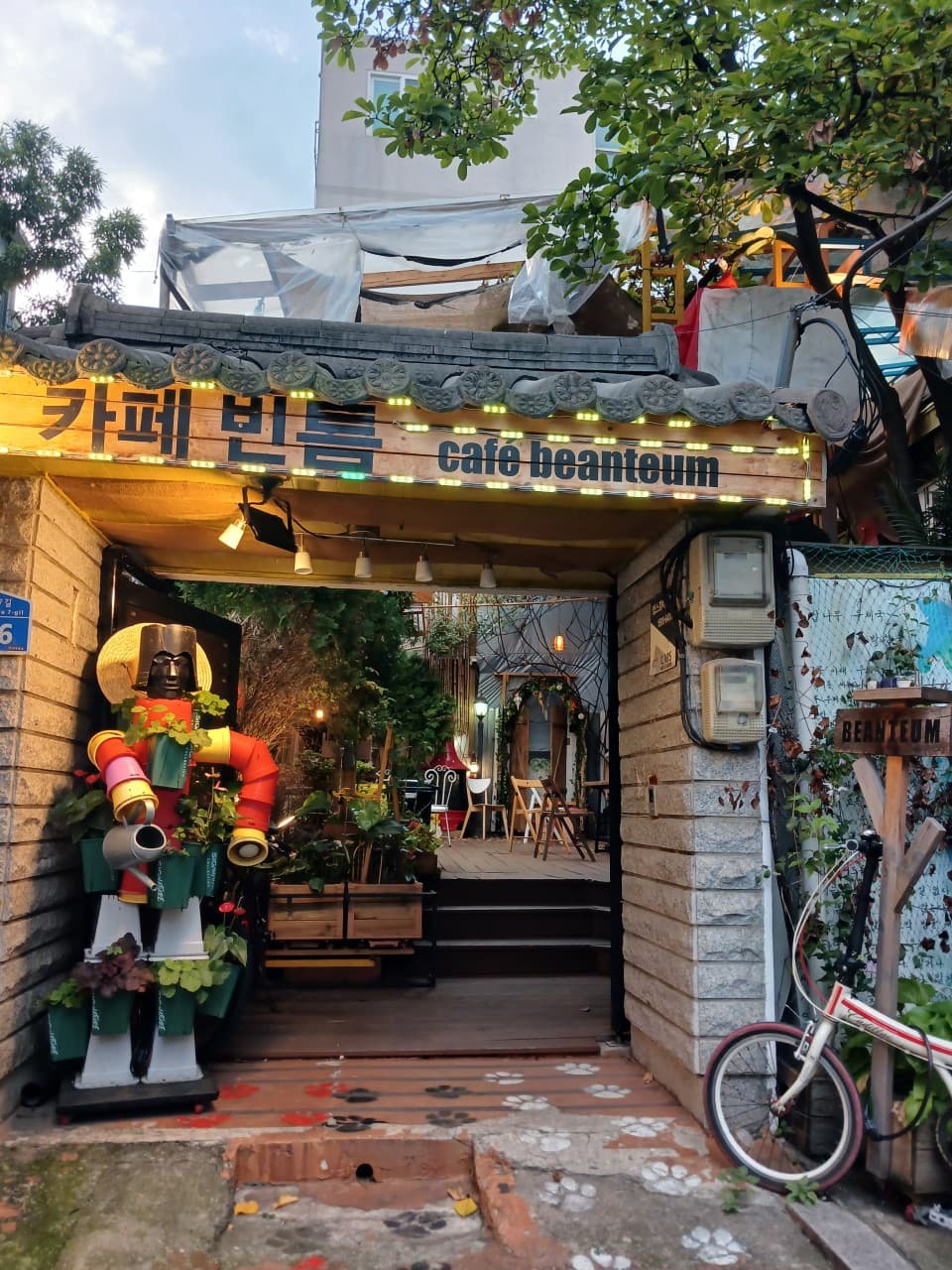 Cafe Bintum M