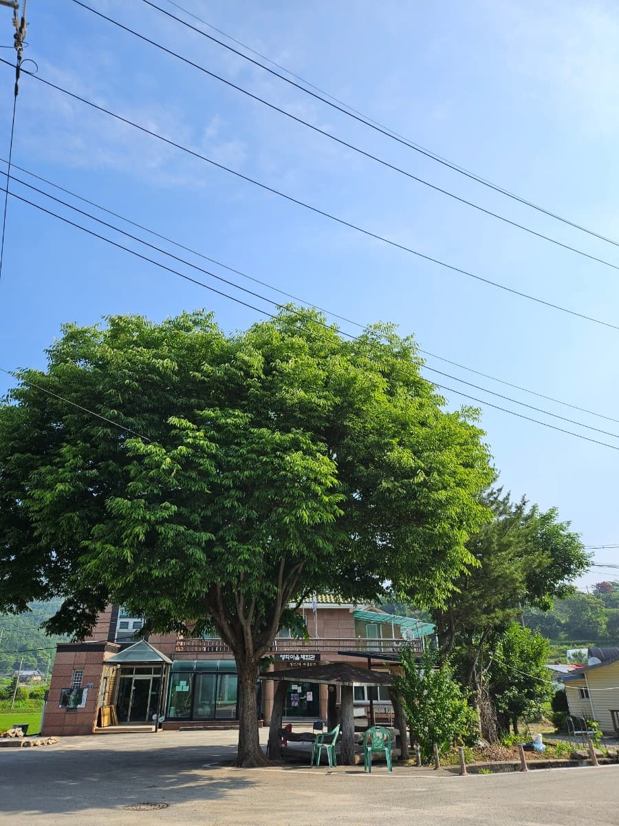 Yangpyeong Inseong Kiwoom Experience School Agricultural Cooperative
