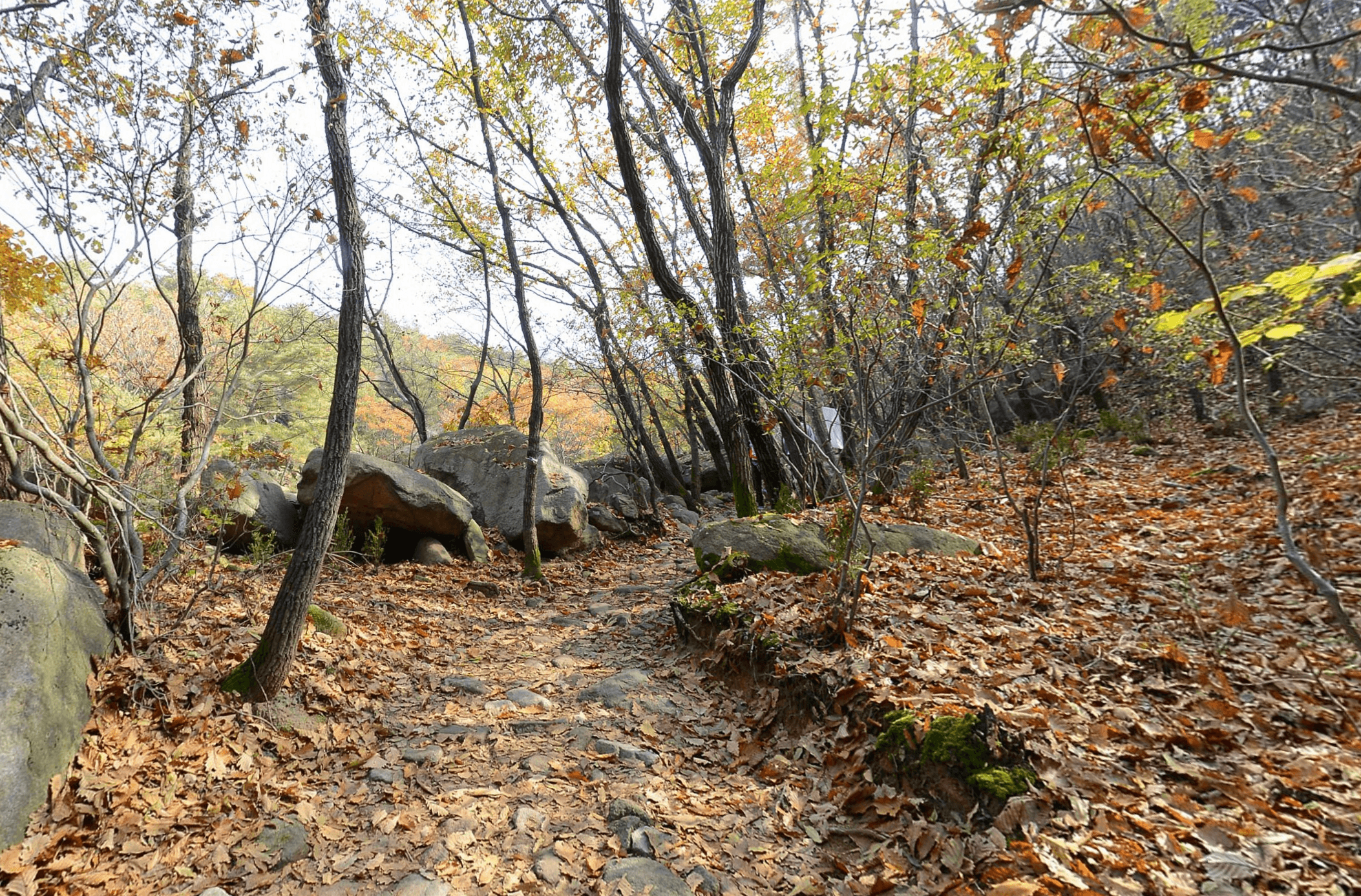 Gwanaksan Camping Area #4 (Jesayayeongjang)