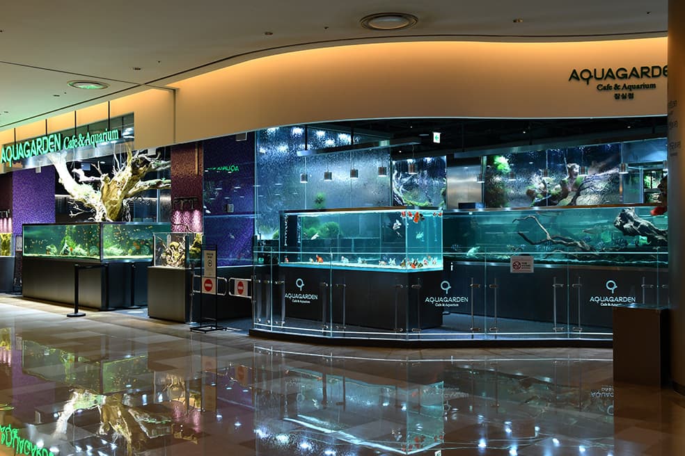 Aqua garden cafe Lotte World Tower