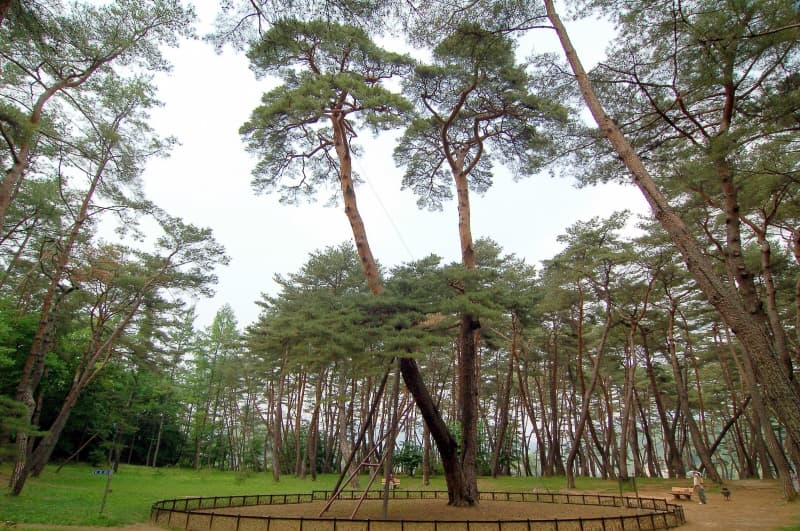 Cheongnyeongpo Gwaneumsong (Guanyinsong)
