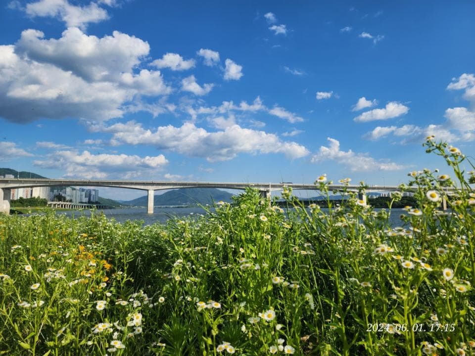 Namyangju Han River Park Sampae District