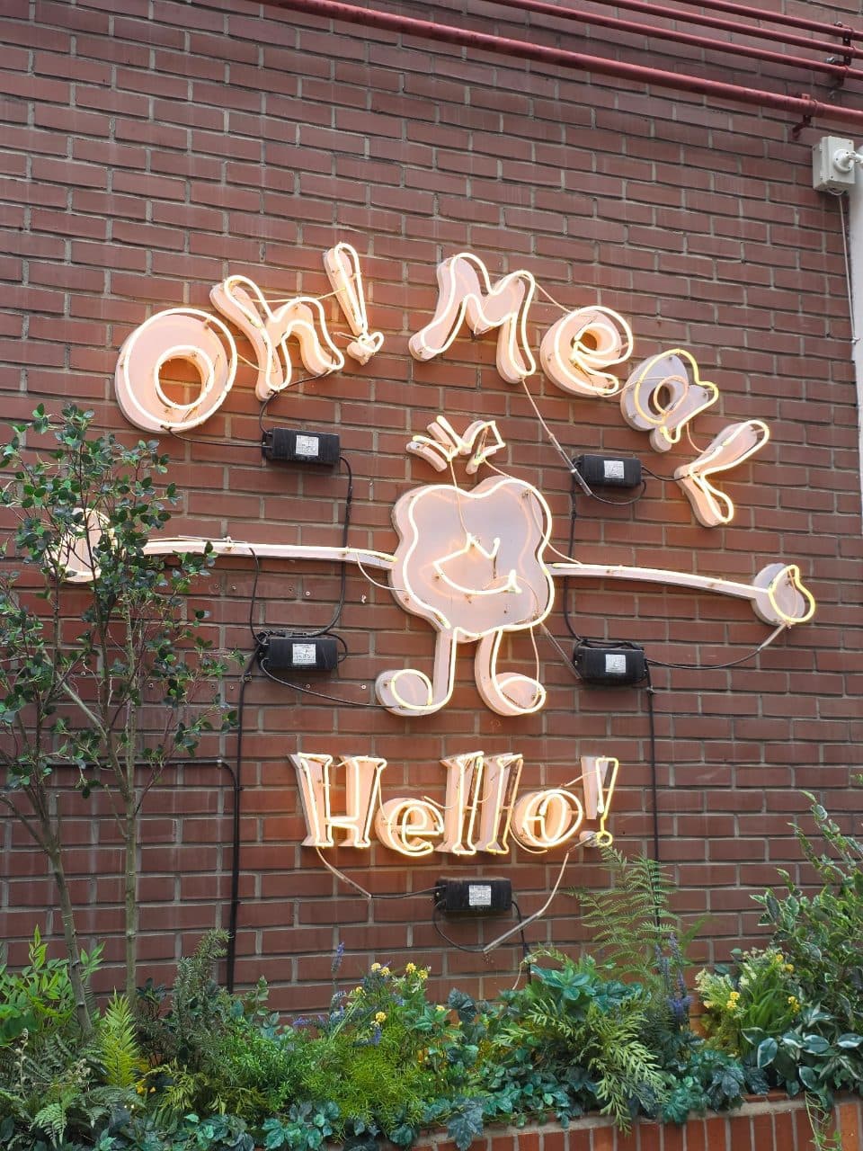 Ohmeal Seongsu