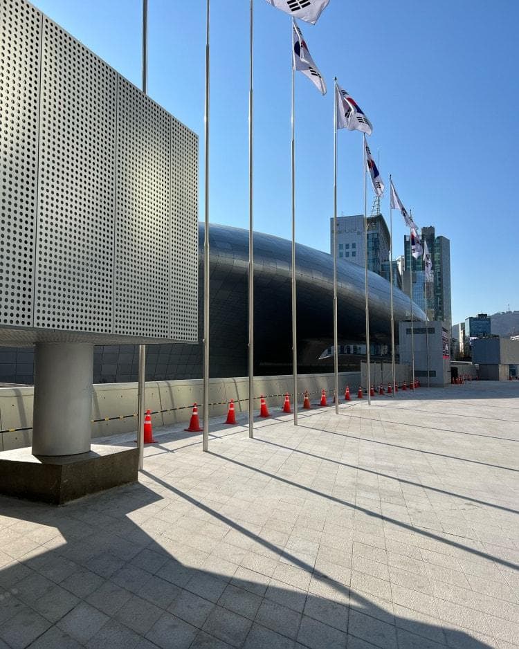 Dongdaemun Design Plaza (DDP)