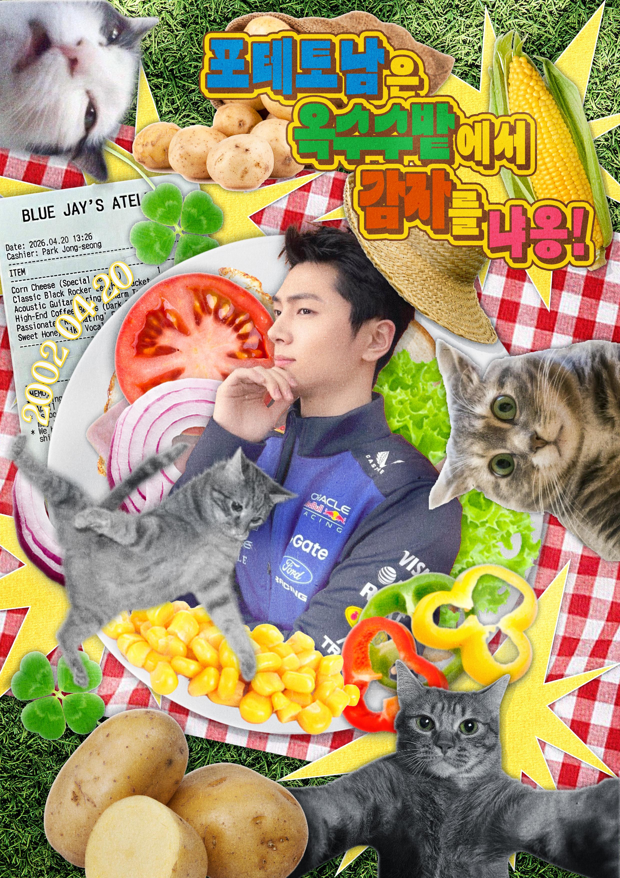 포테토남은 옥수수밭에서 감자를 냐옹! poster