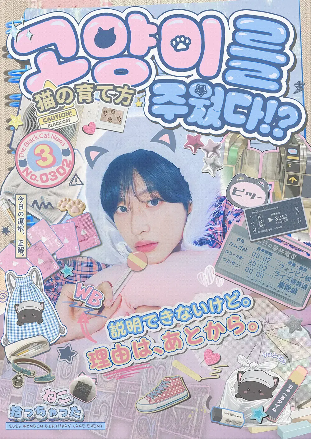 고양이를 주웠다!? poster