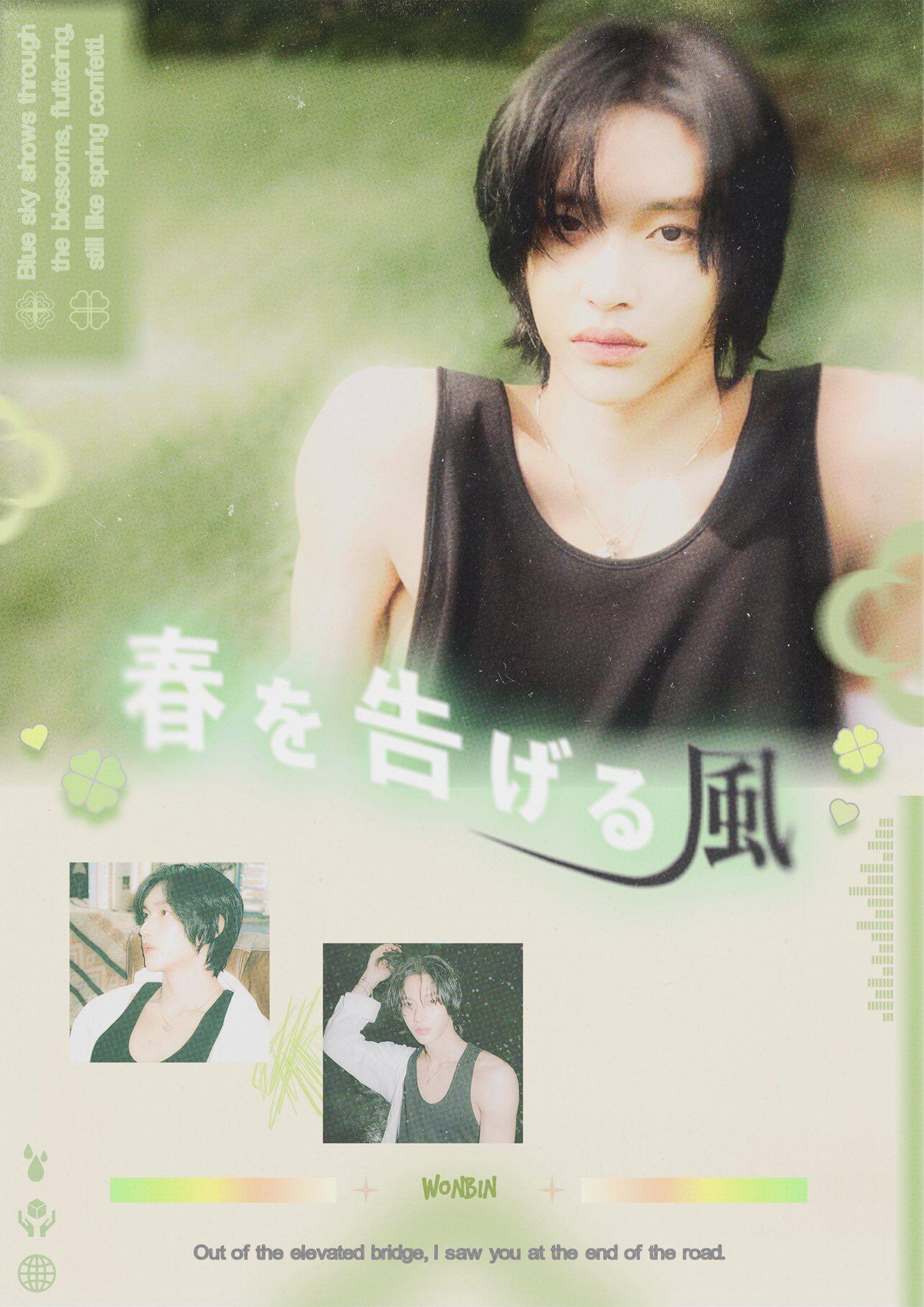 🍀🌿🌱☘️ poster